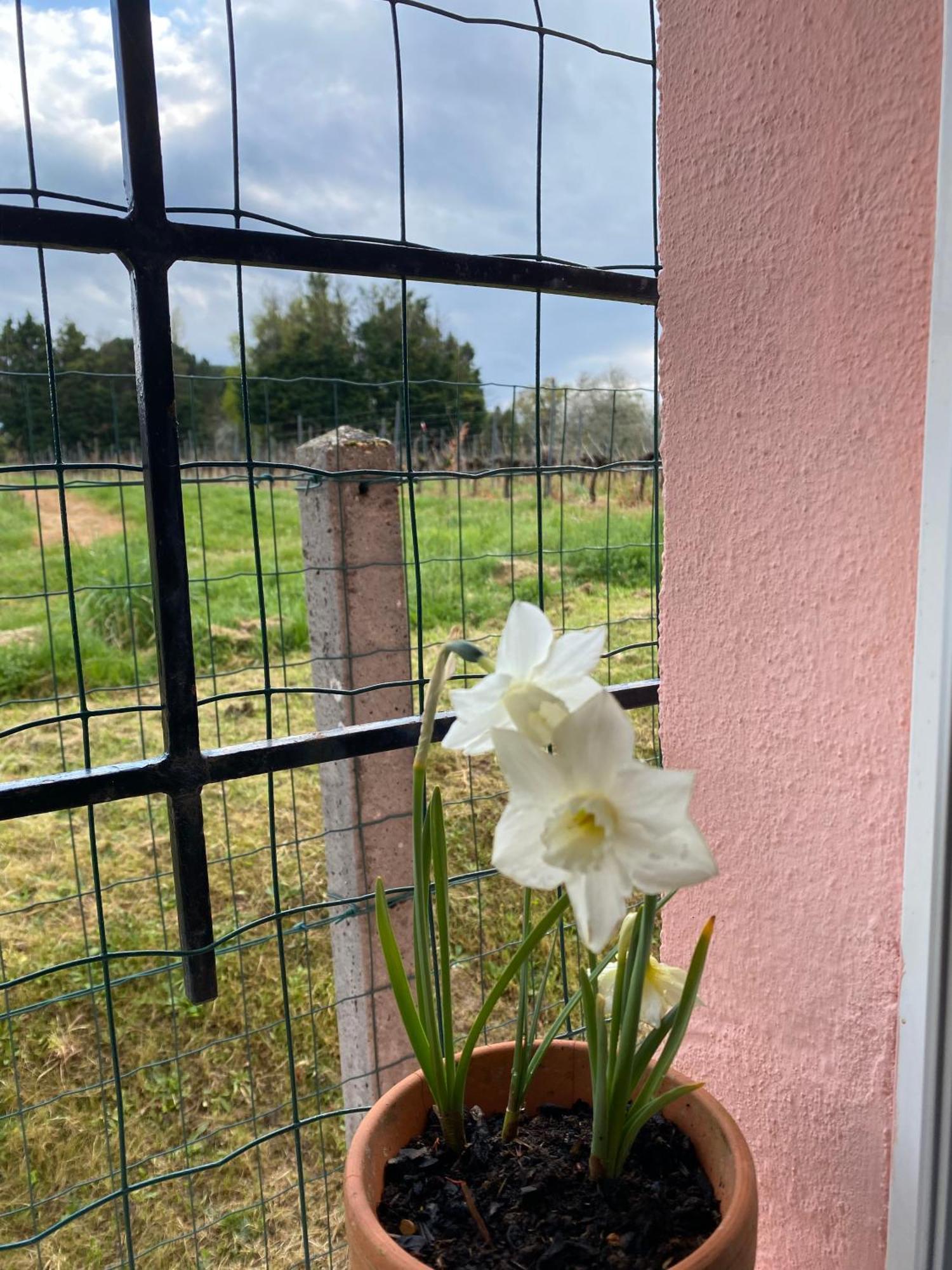 Apartamento Le Bon Coin Périssac Exterior foto